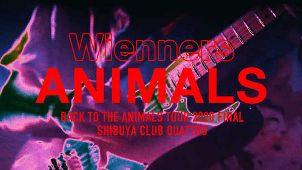 「ANIMALS」ライブ映像（『BACK TO THE ANIMALS TOUR 2020 FINAL』） 
