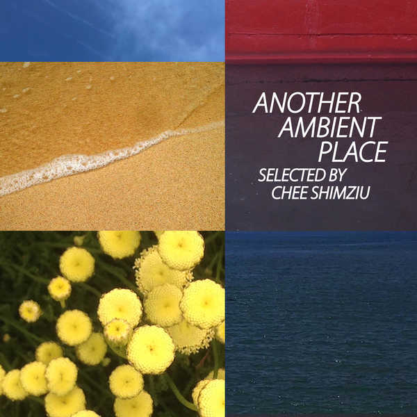 プレイリスト「Another Ambient Place : selected by Chee Shimizu」 